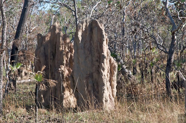 AustraliaAdelaide 10  078